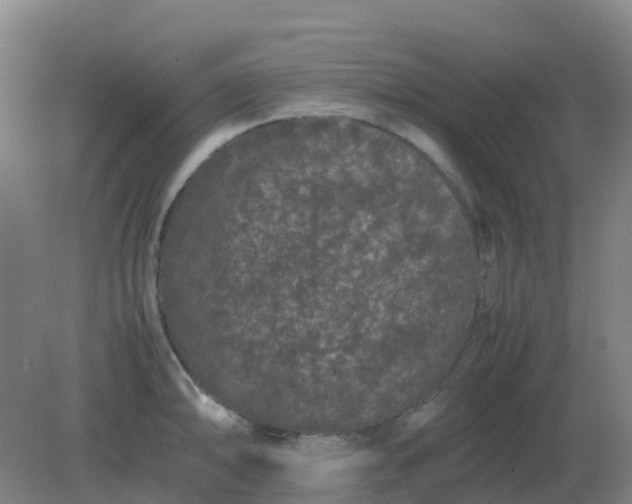 X0000082201094200702021838