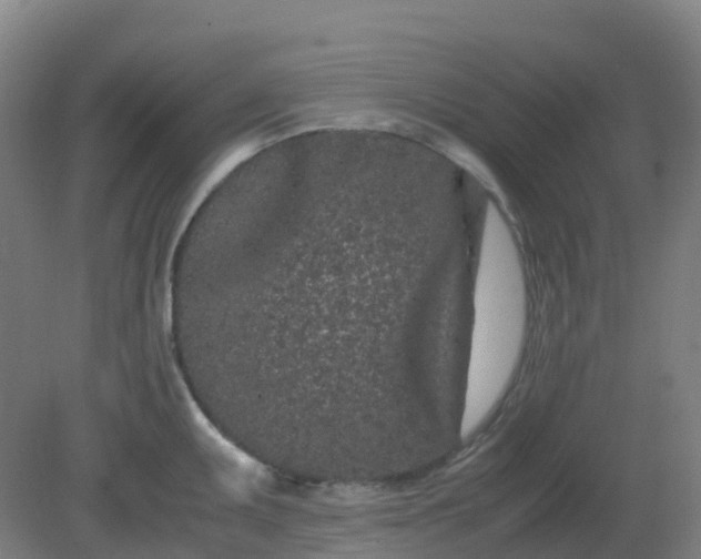 X0000082201095200702021838