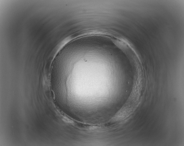 X0000082201097200702021838