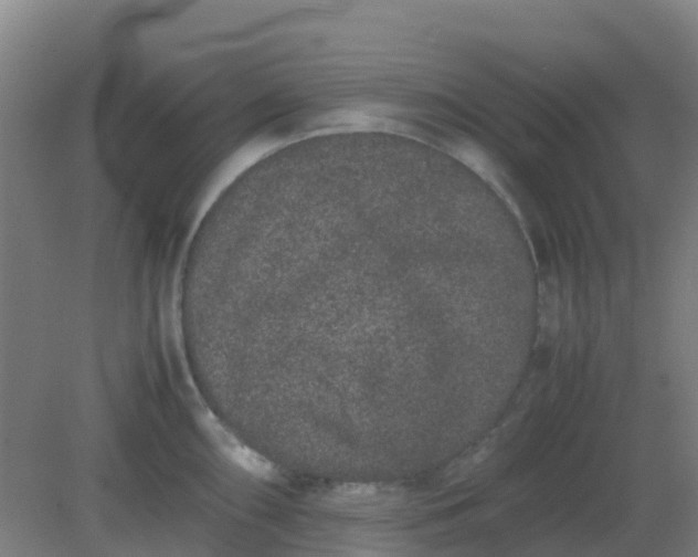 X0000082201098200702021838