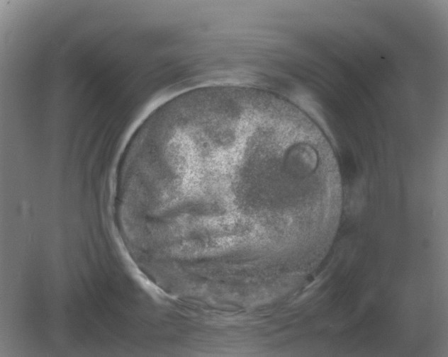 X0000082201099200702021838