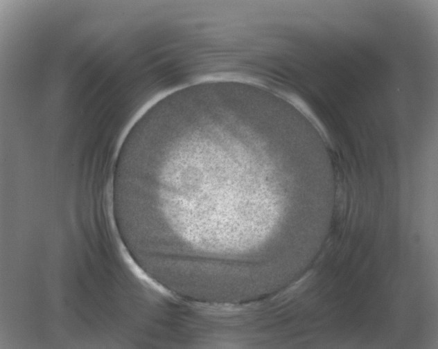 X0000082201100200702021838