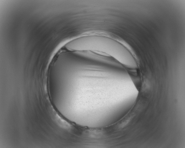 X0000082201102200702021838