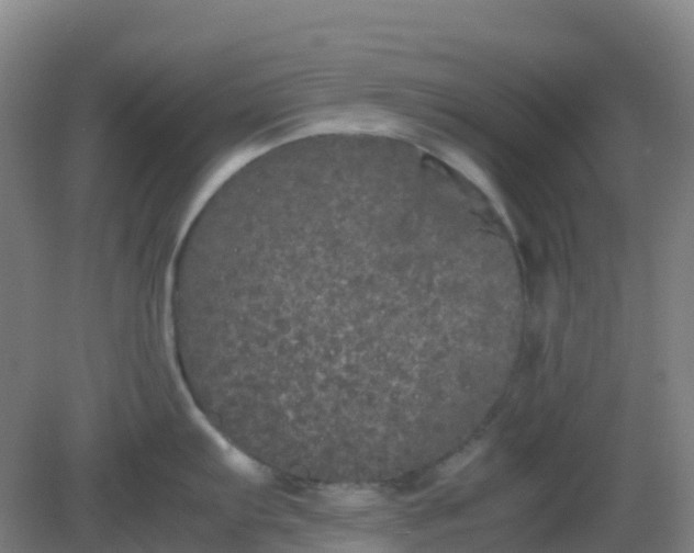 X0000082201103200702021838