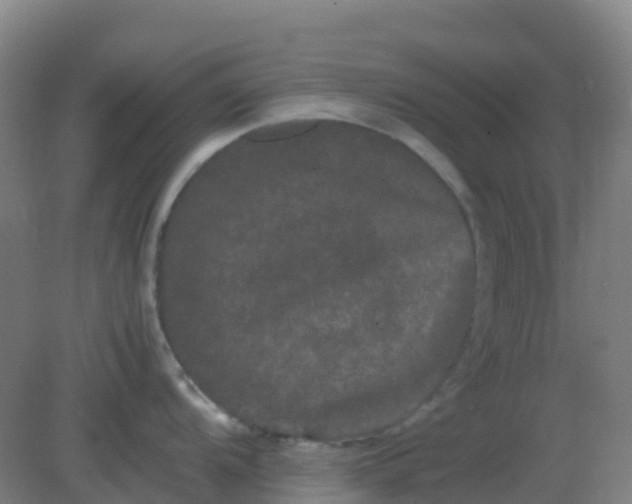 X0000082201104200702021838