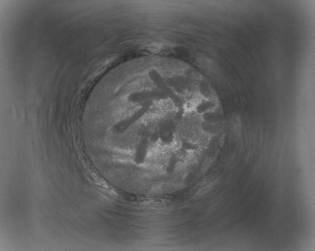 X0000082201105200702021837