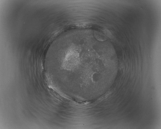 X0000082201106200702021837