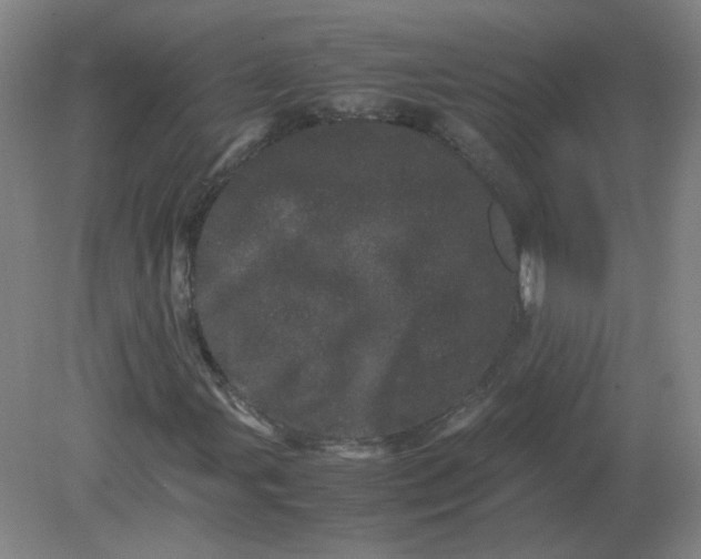 X0000082201107200702021837