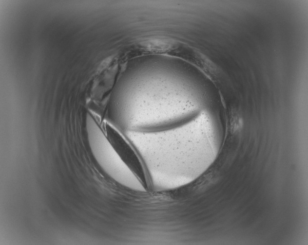 X0000082201108200702021837