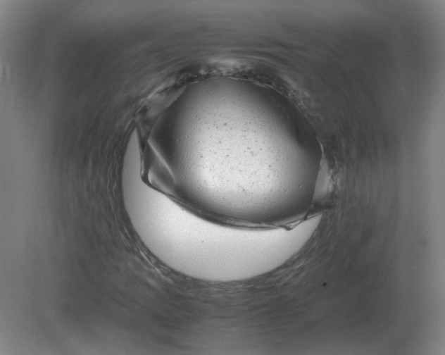 X0000082201109200702021837