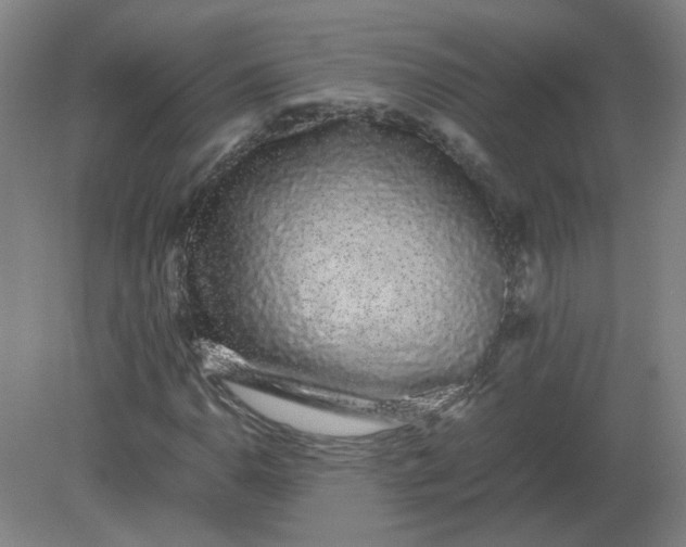 X0000082201110200702021837