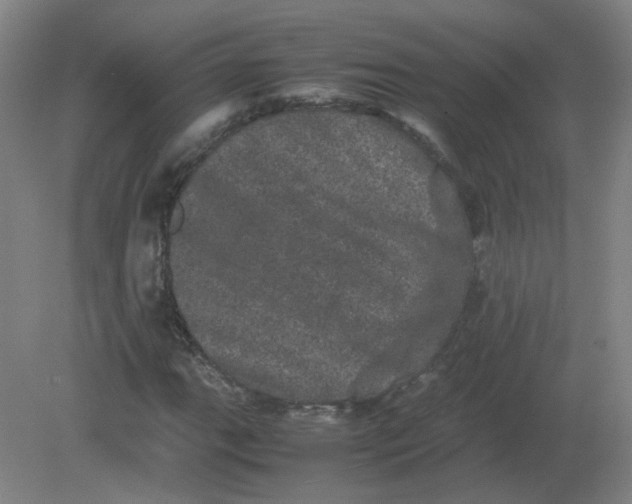 X0000082201111200702021837