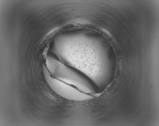 X0000082201112200702021837