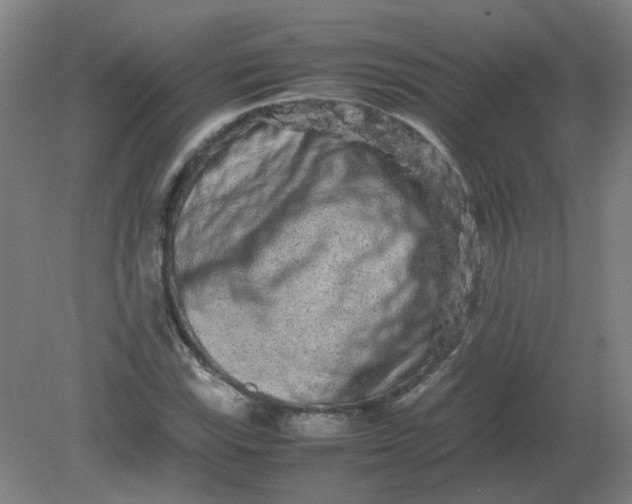 X0000082201115200702021837