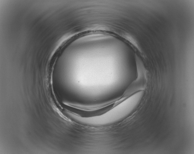 X0000082201116200702021837