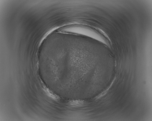 X0000082201117200702021837