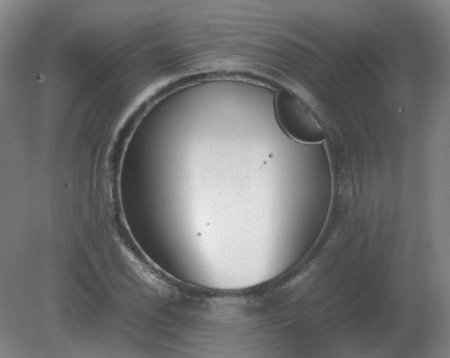 X0000082201118200702021837