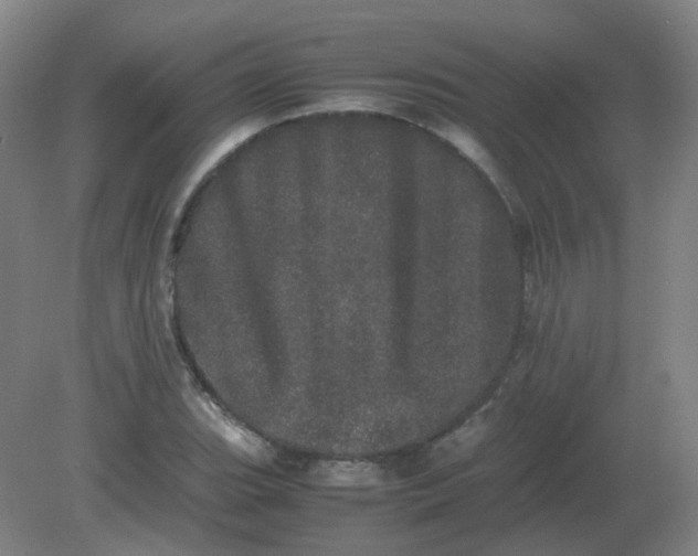 X0000082201119200702021837