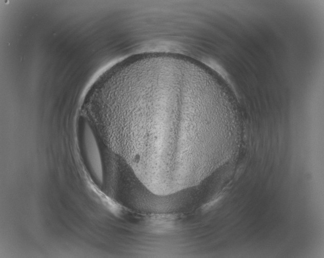 X0000082201120200702021837