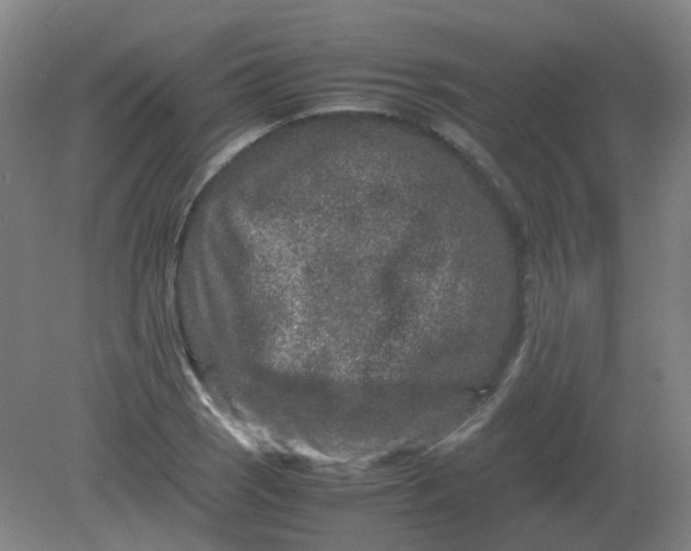 X0000082201121200702021837