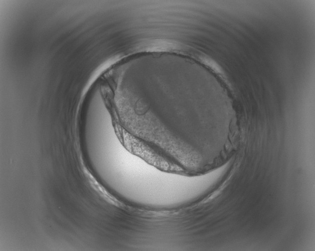 X0000082201122200702021837