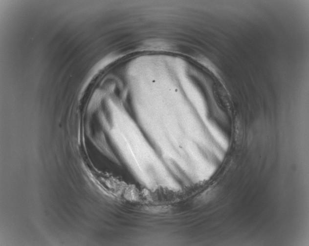 X0000082201123200702021837