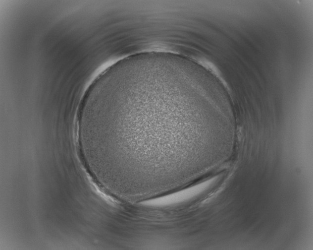 X0000082201125200702021837