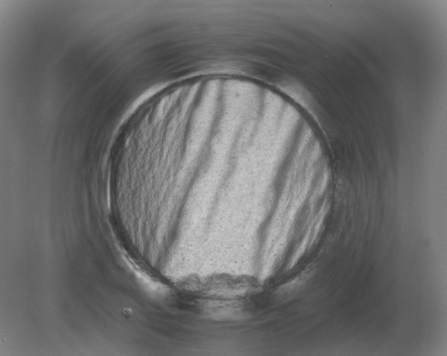 X0000082201127200702021837