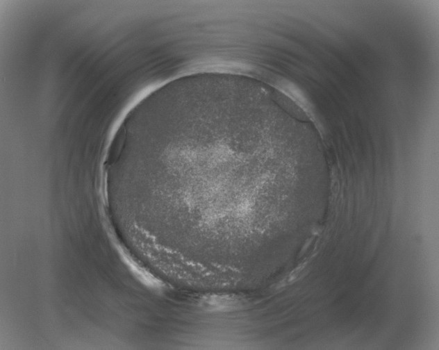 X0000082201128200702021837