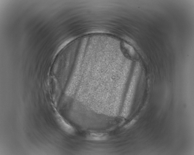 X0000082201129200702021837