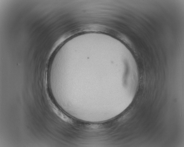 X0000082201130200702021837