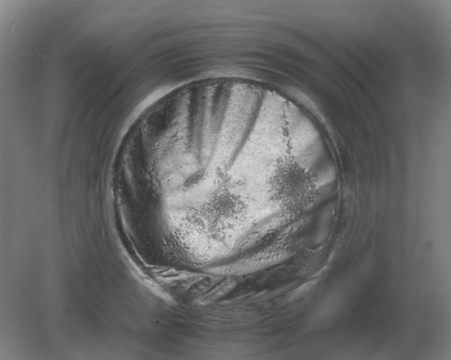 X0000082201133200702021837