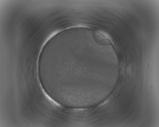 X0000082201135200702021837