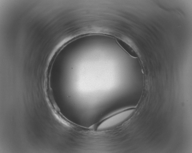 X0000082201136200702021837