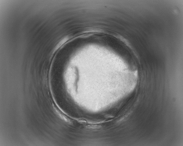 X0000082201137200702021837