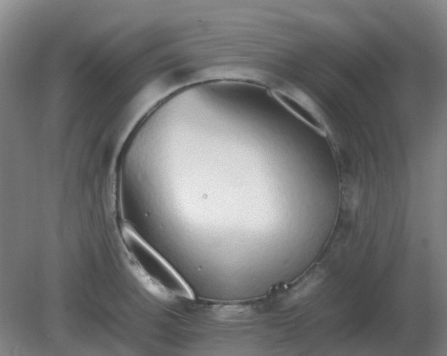 X0000082201140200702021837