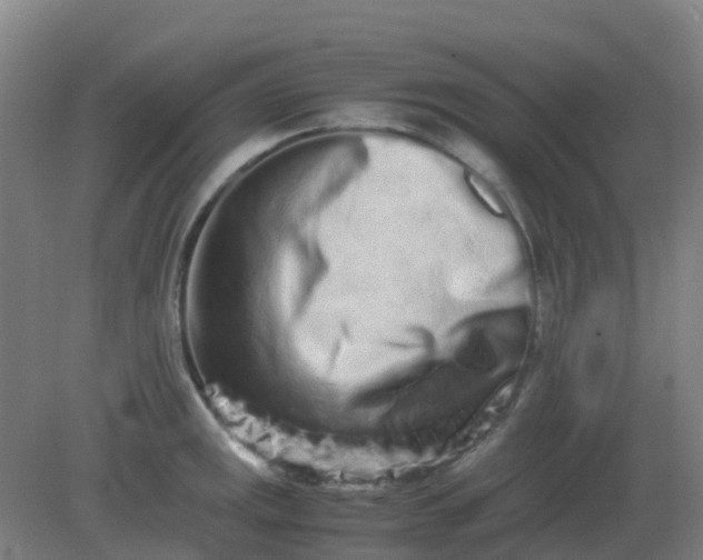 X0000082201141200702021837