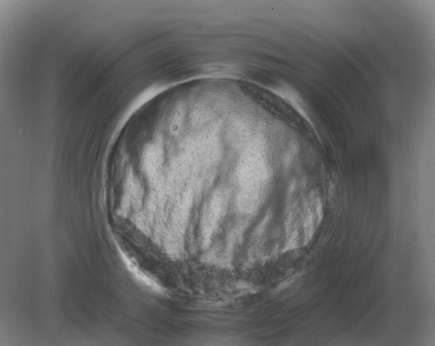 X0000082201143200702021837