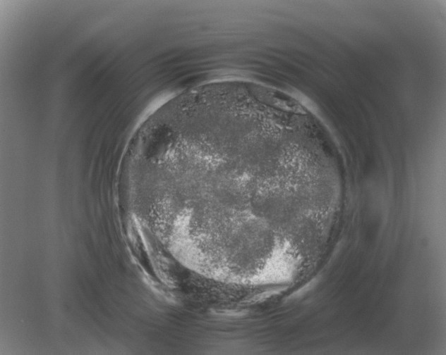 X0000082201145200702021837