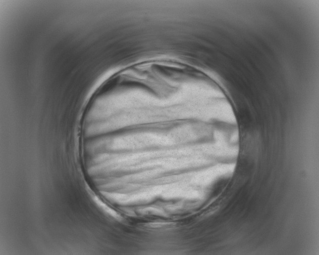 X0000082201151200702021837