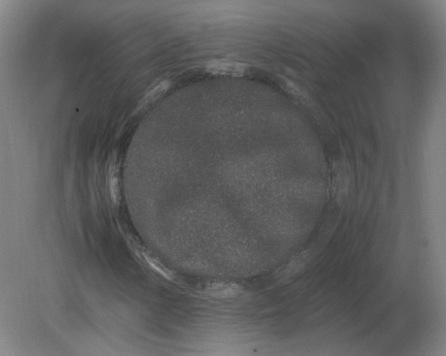 X0000082201154200702021837