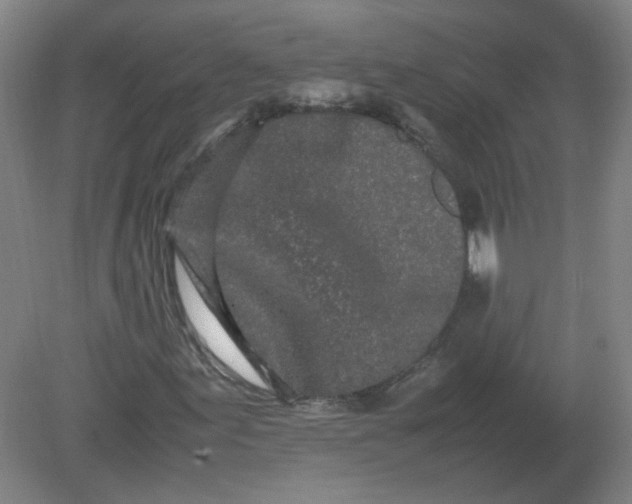 X0000082201155200702021837