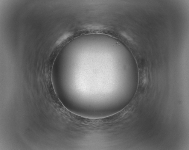 X0000082201157200702021837