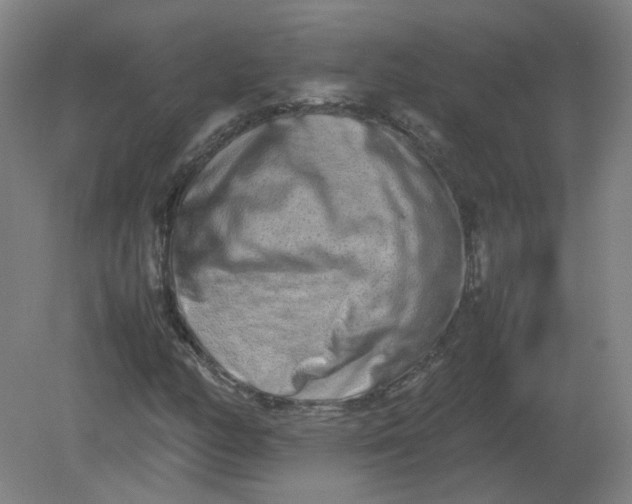 X0000082201158200702021837