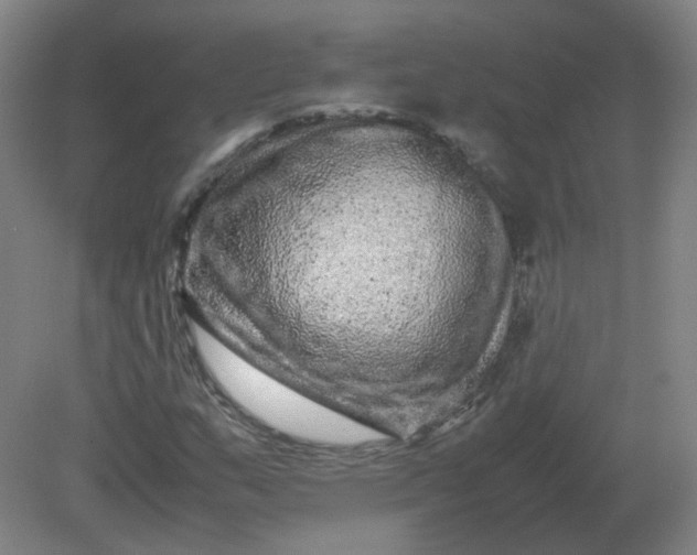 X0000082201159200702021837