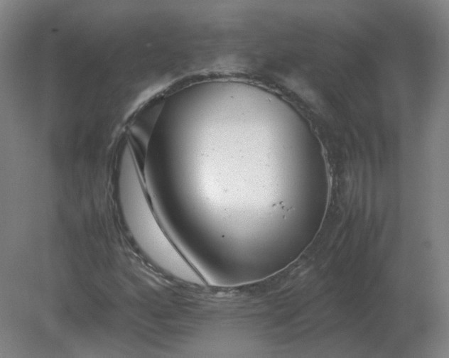 X0000082201160200702021837