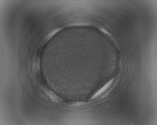 X0000082201161200702021837