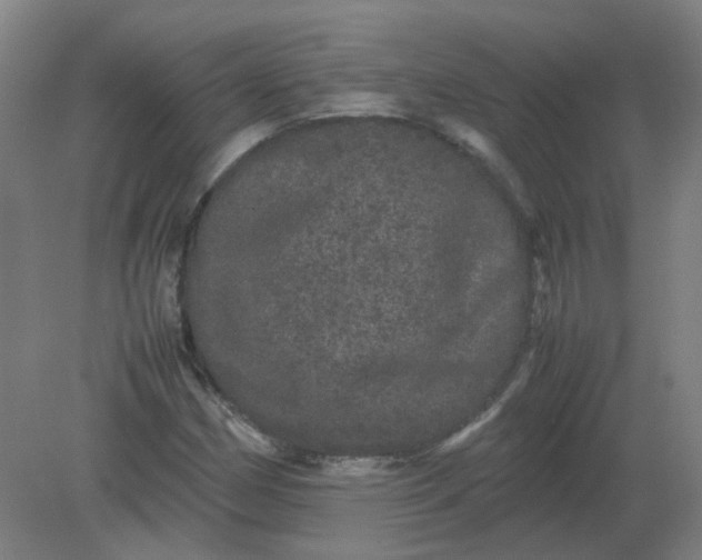 X0000082201162200702021837