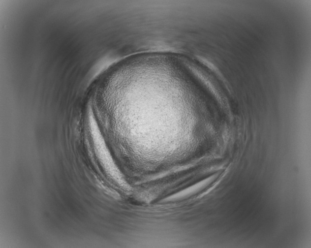 X0000082201163200702021837