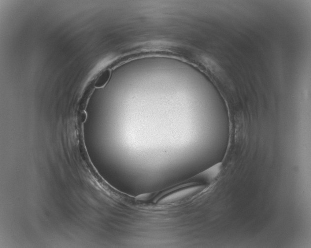 X0000082201164200702021837